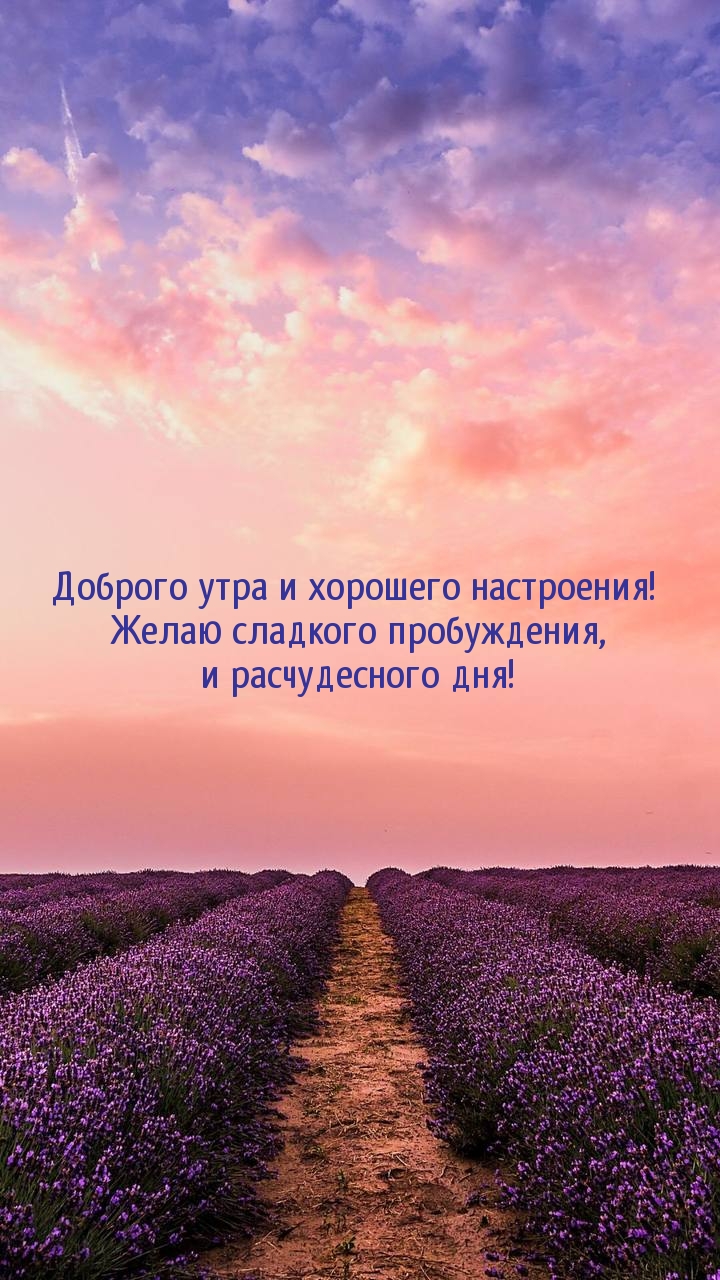 Доброго утра и хорошего настроения!