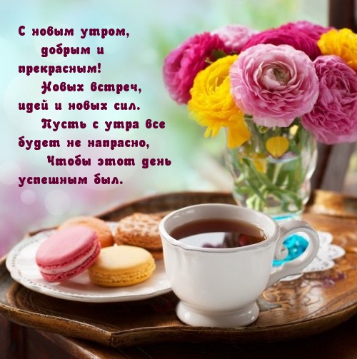 С новым утром, добрым и прекрасным!