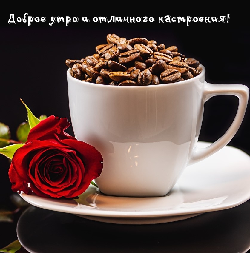 Доброе утро и отличного настроения!