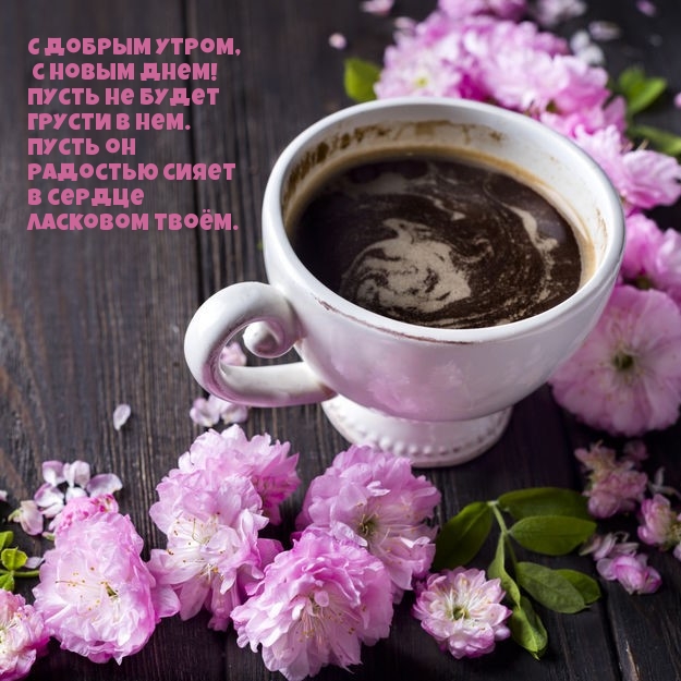 С добрым утром, с новым днем! Пусть не будет грусти в нем.