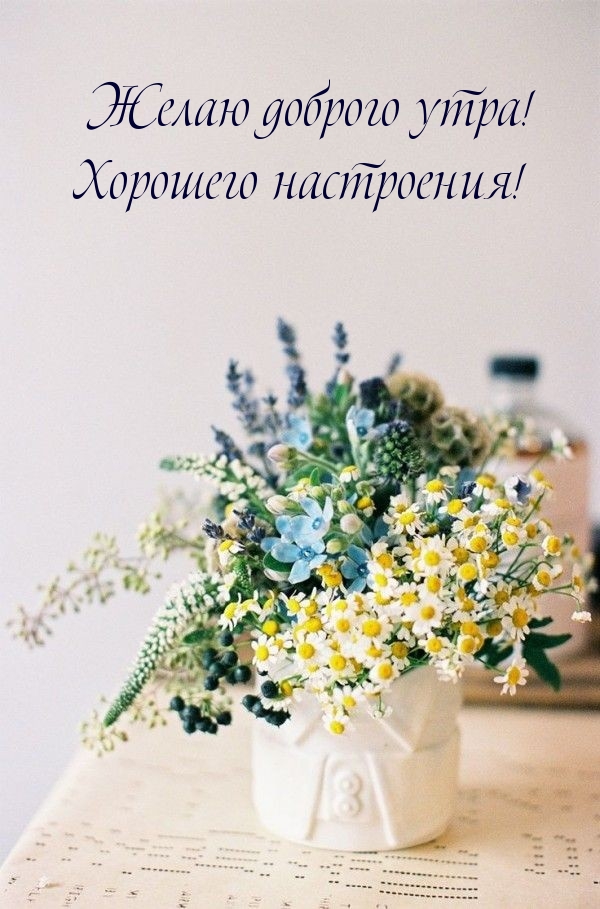 Желаю доброго утра! Хорошего настроения!