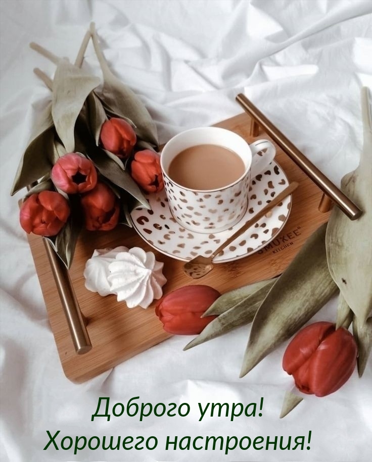 Доброго утра! Хорошего настроения!
