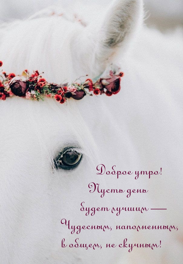 Доброе утро! Пусть день будет лучшим — чудесным, наполненным