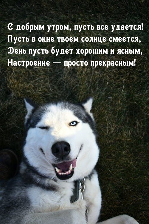 С добрым утром, пусть все удается!