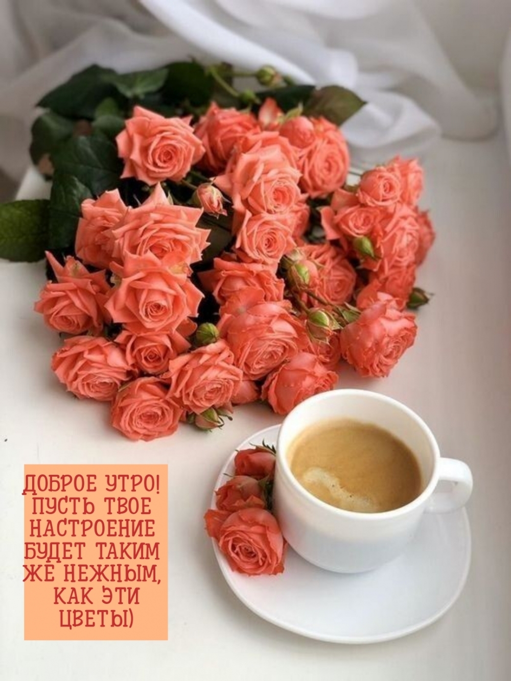 ДОБРОЕ УТРО! ПУСТЬ ТВОЕ НАСТРОЕНИЕ БУДЕТ НЕЖНЫМ