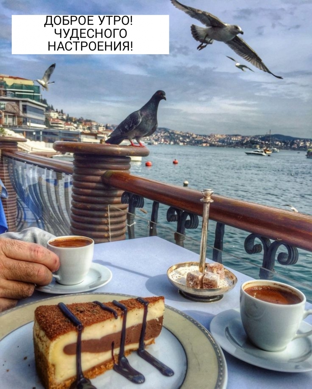 ДОБРОЕ УТРО! ЧУДЕСНОГО НАСТРОЕНИЯ!