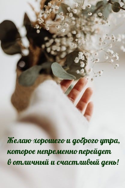 Желаю хорошего и доброго утра