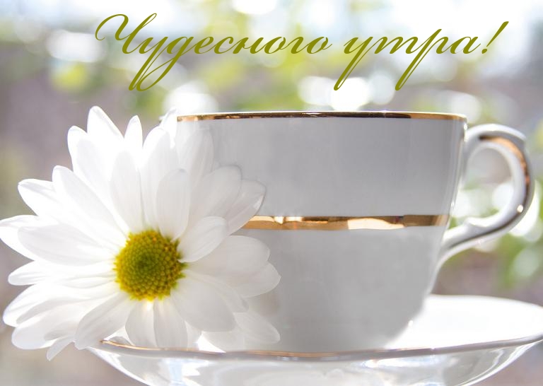 Чудесного утра!