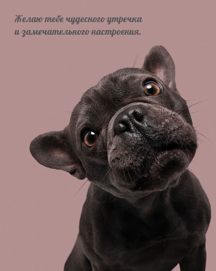 Желаю тебе чудесного утречка и замечательного настроения.