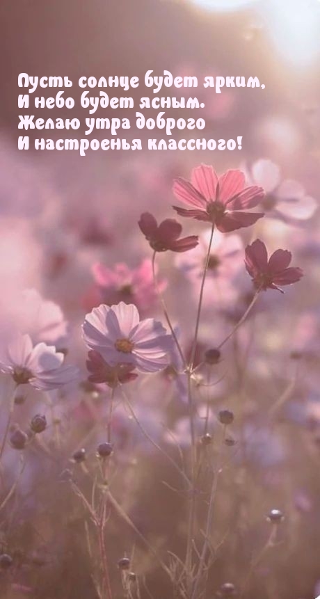 Пусть солнце будет ярким, и небо будет ясным.