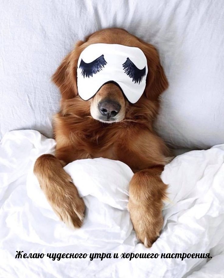 Желаю чудесного утра и хорошего настроения.