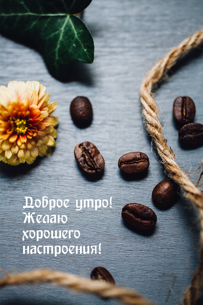 Доброе утро! Желаю хорошего настроения!