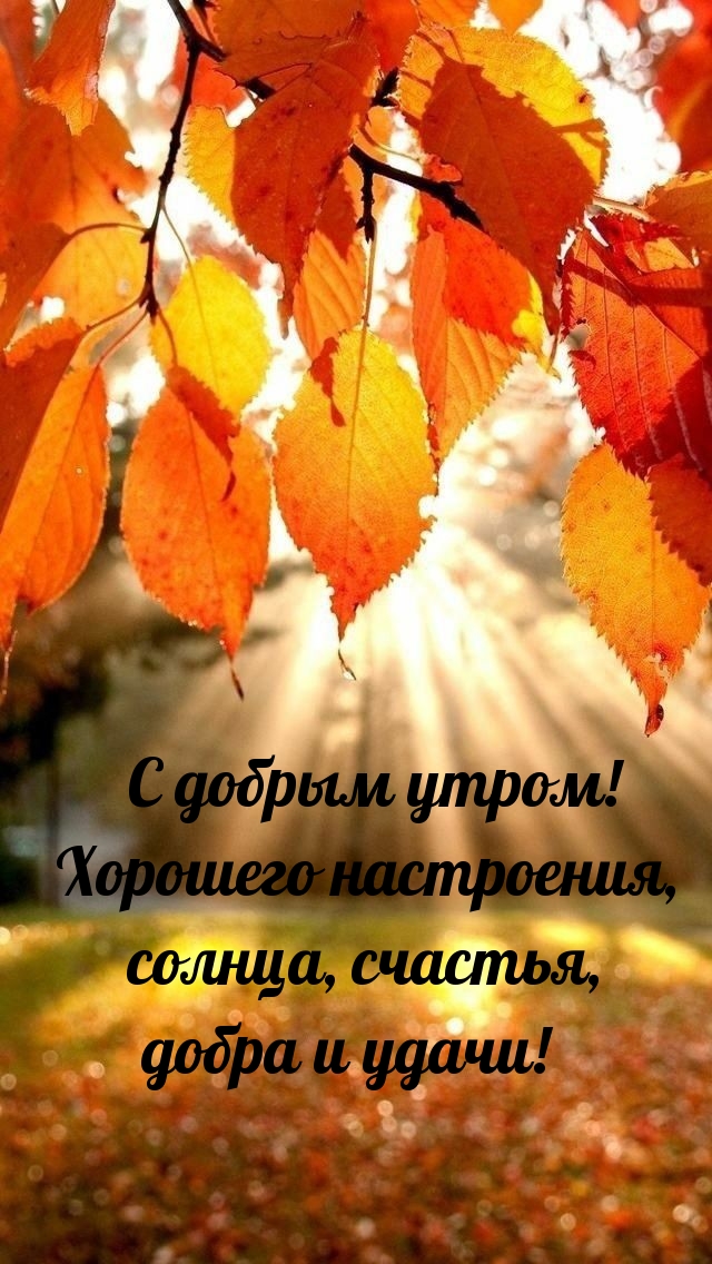 С добрым утром! Хорошего настроения