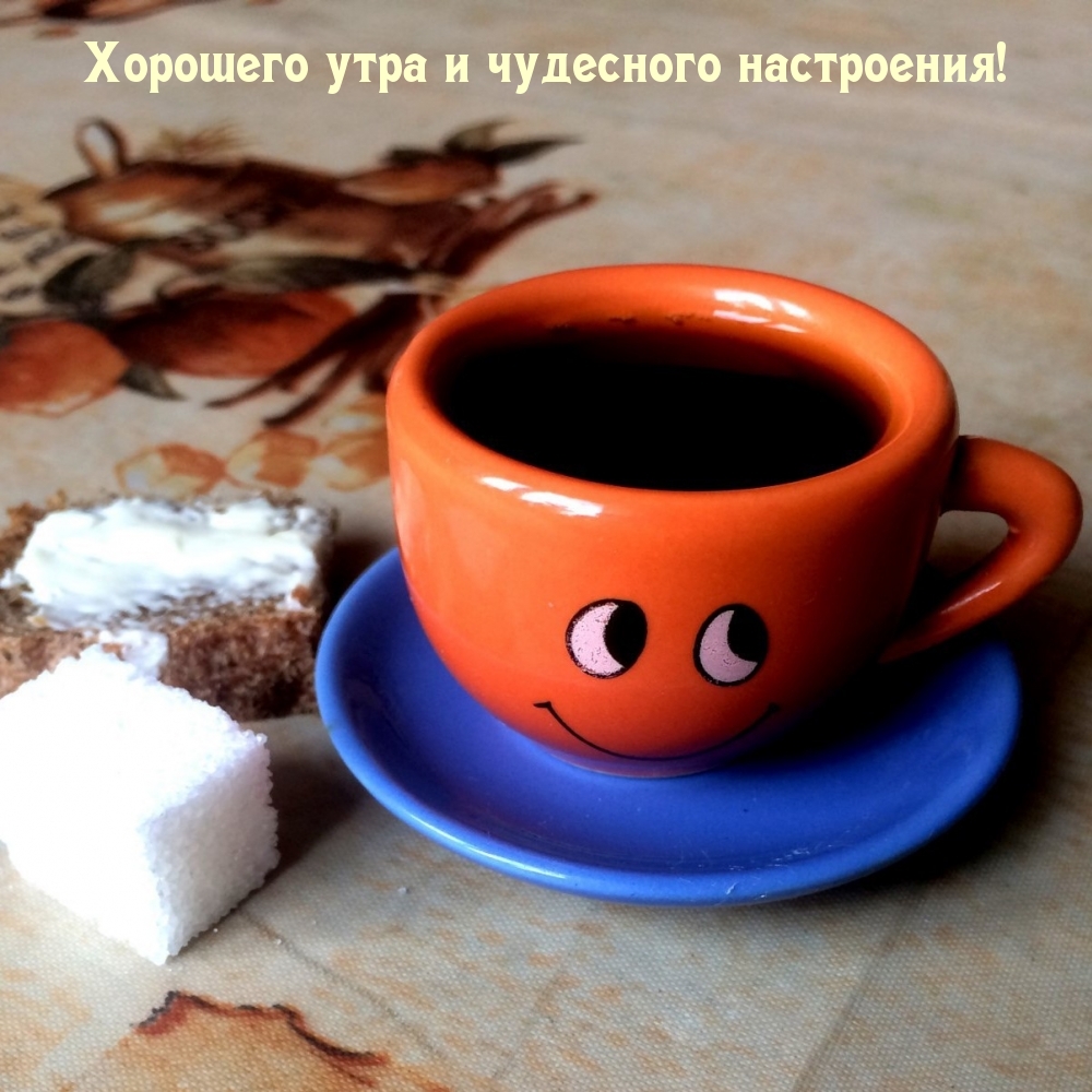 Хорошего утра и чудесного настроения!