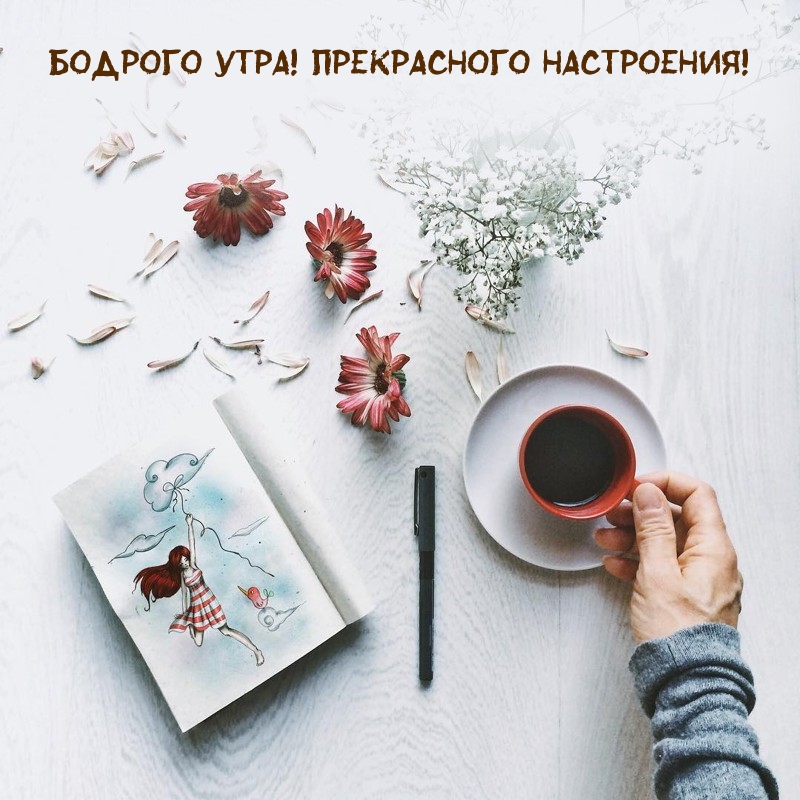 Бодрого утра! Прекрасного настроения!
