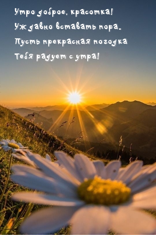 Утро доброе, красотка! Уж давно вставать пора.