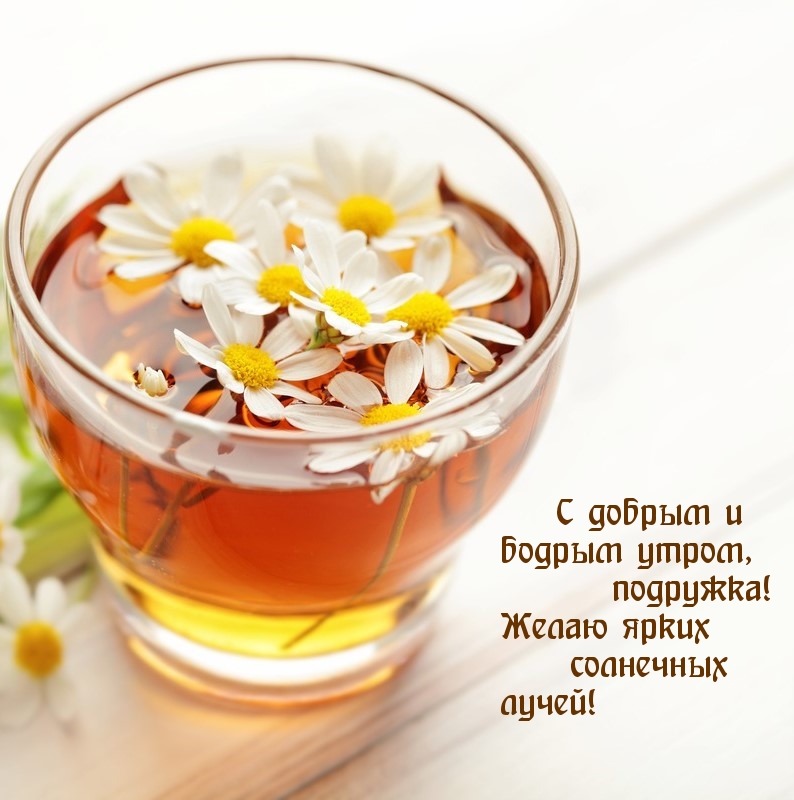 С добрым и бодрым утром, подружка!