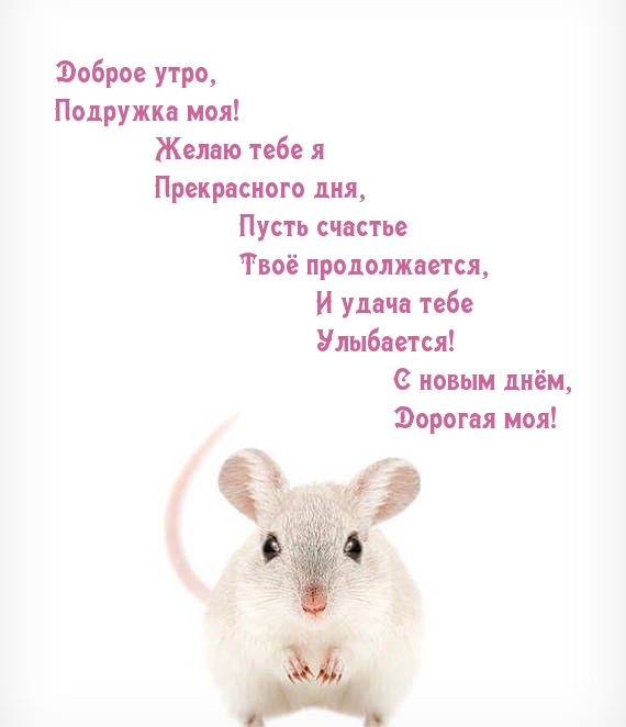 Доброе утро, подружка моя!