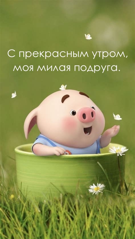 С прекрасным утром, моя милая подруга.