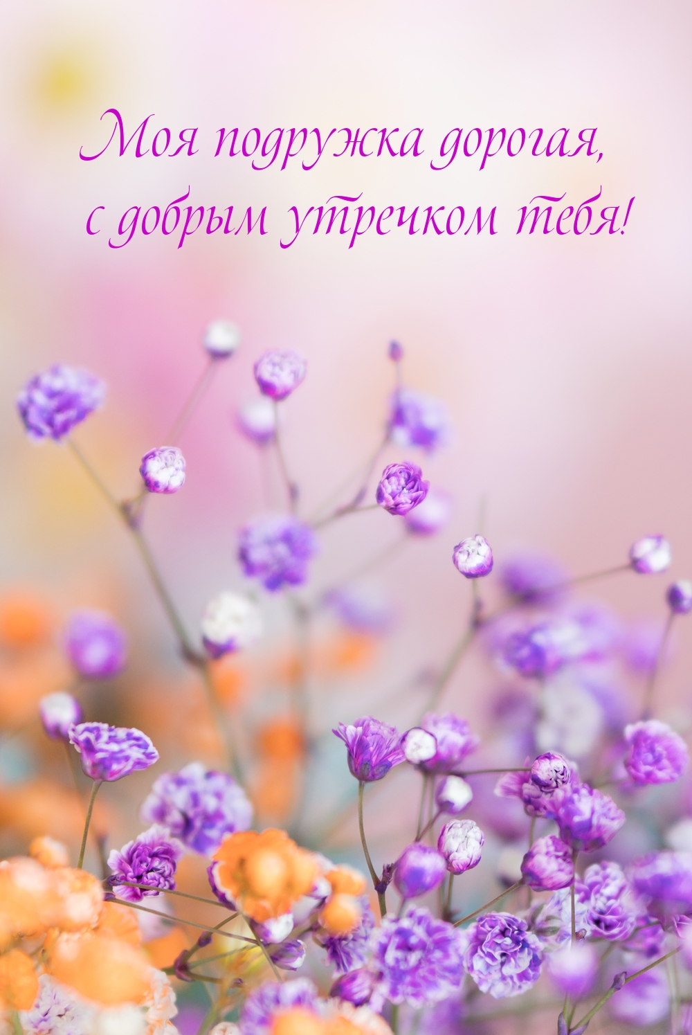 Моя подружка дорогая, с добрым утречком тебя!