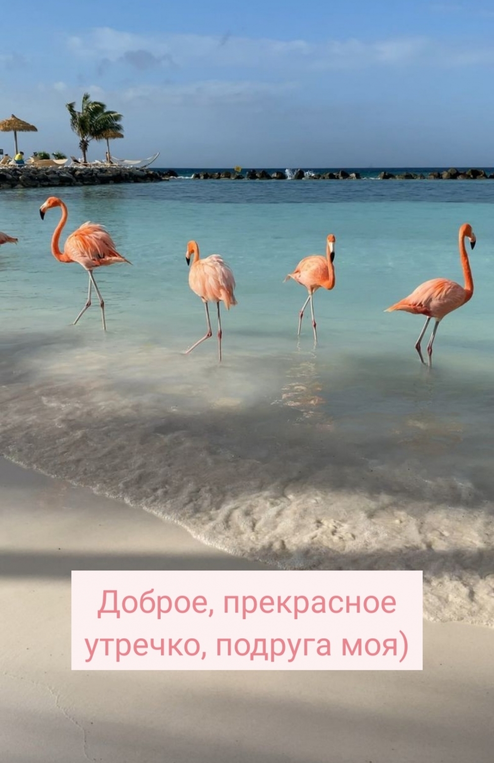 Доброе, прекрасное утречко, подруга моя)