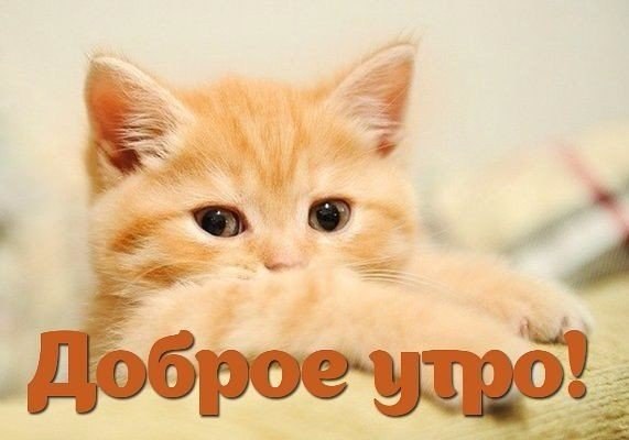 Доброе утро!