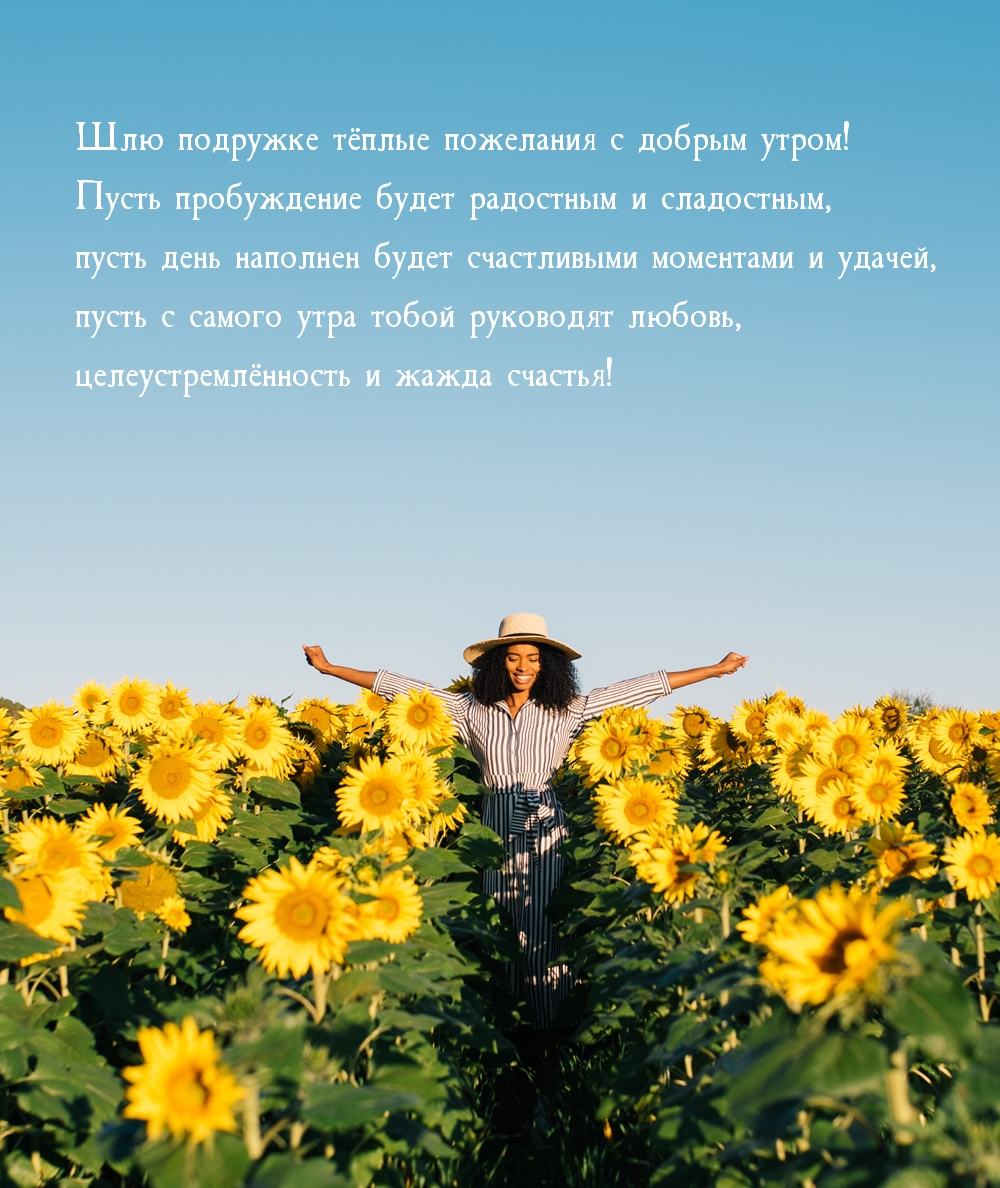 Шлю подружке тёплые пожелания с добрым утром!