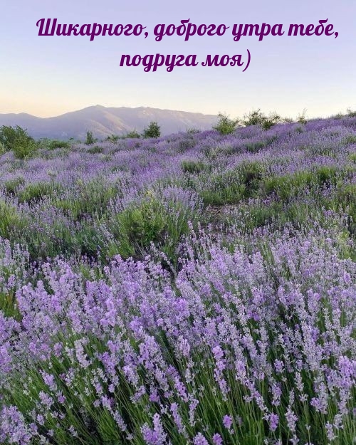 Шикарного, доброго утра тебе, подруга моя)