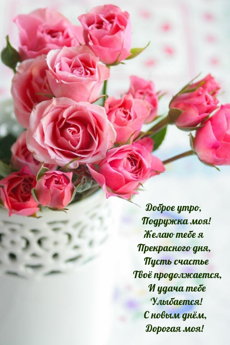 Доброе утро, подружка моя!