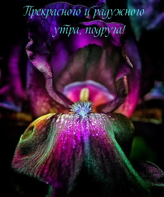 Прекрасного и радужного утра, подруга!