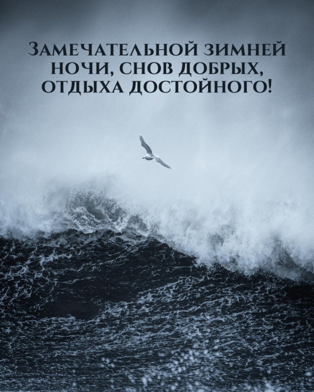 Замечательной зимней ночи, снов добрых, отдыха достойного!