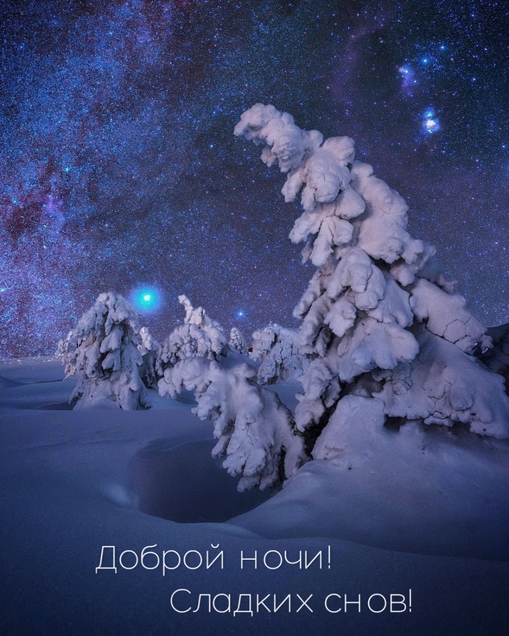 Доброй ночи! Сладких снов!
