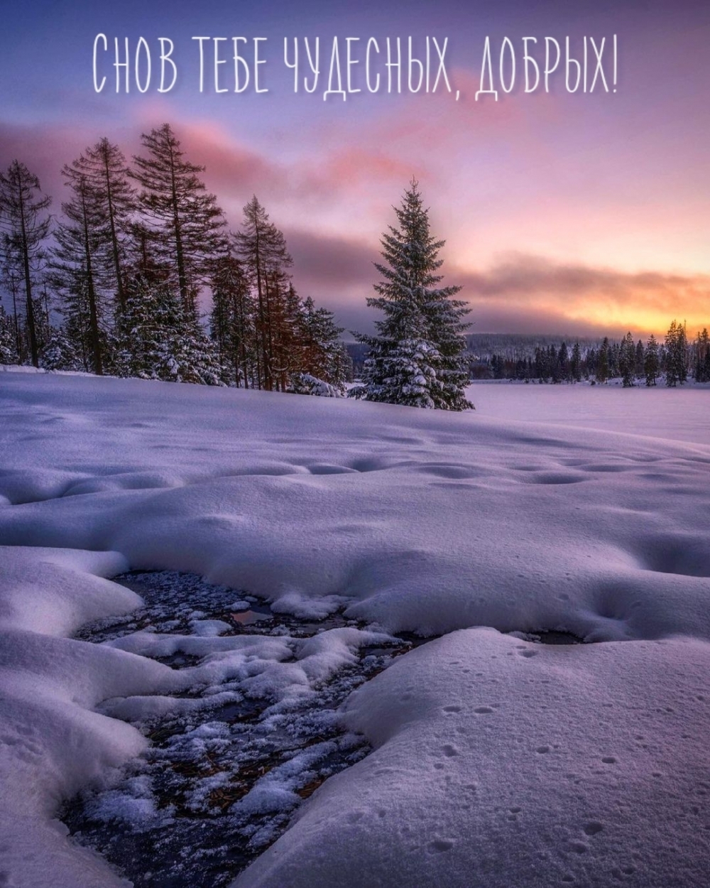 Снов тебе чудесных, добрых!