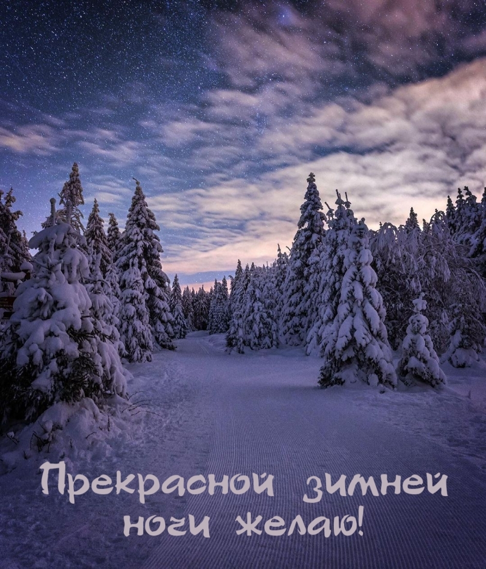 Прекрасной зимней ночи желаю!