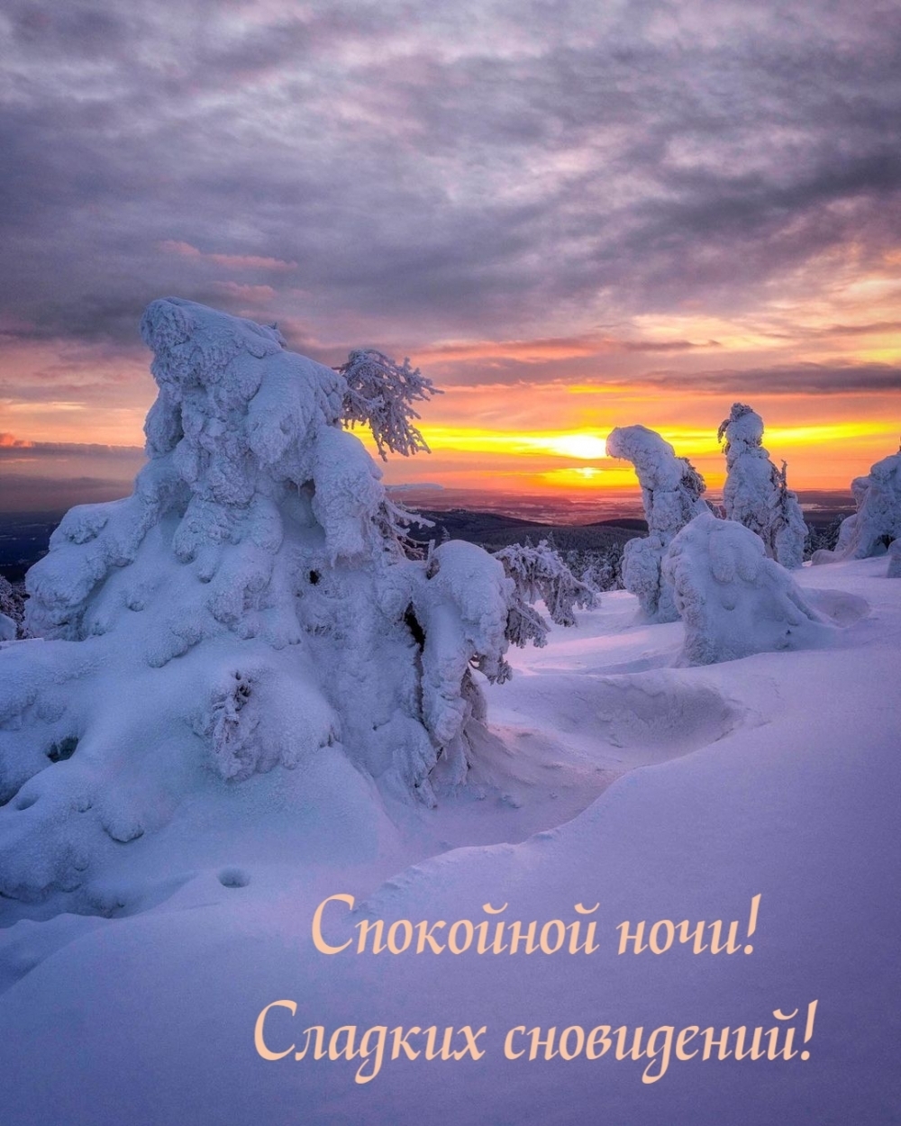 Спокойной ночи! Сладких сновидений!