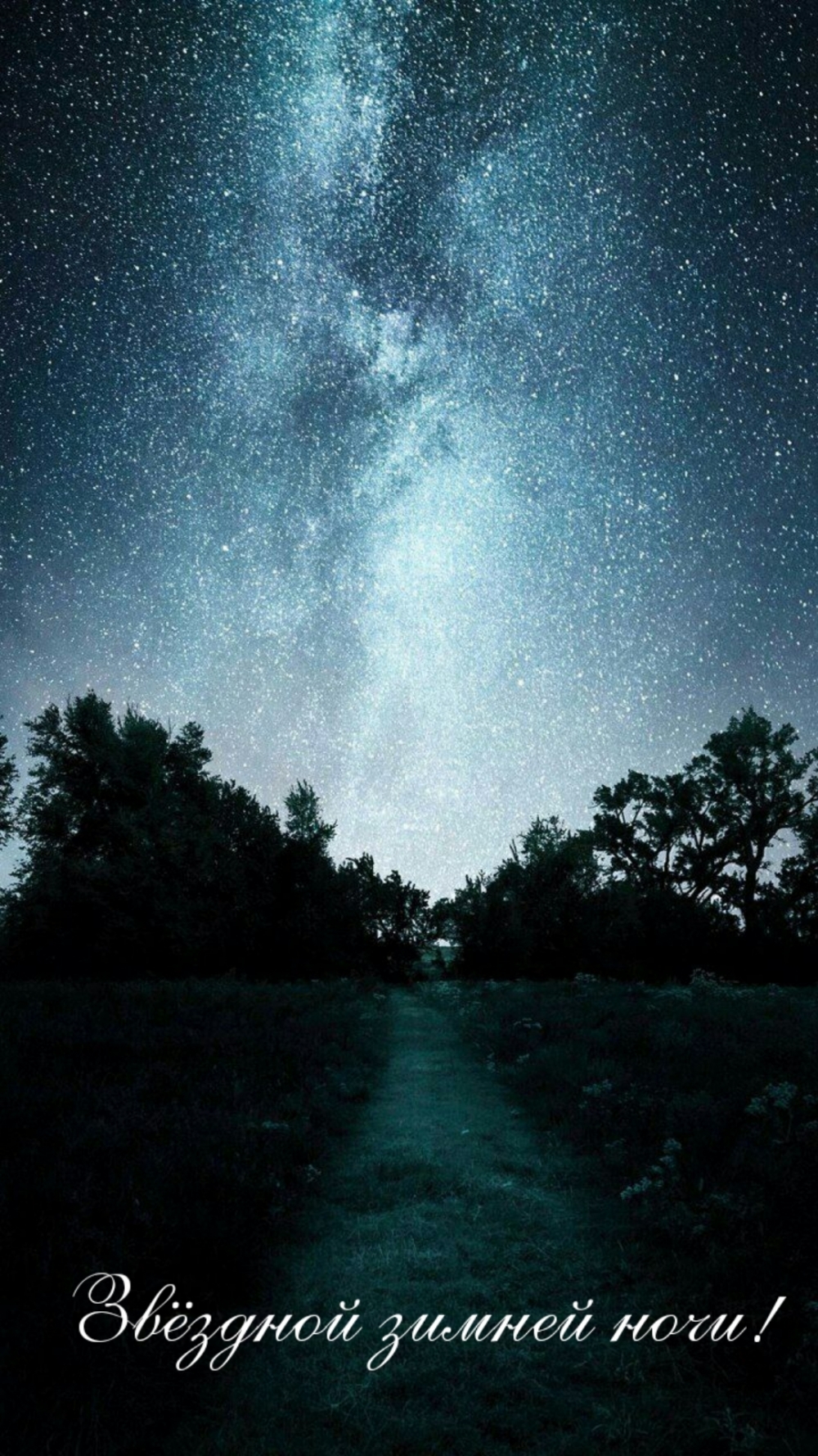Звёздной зимней ночи!