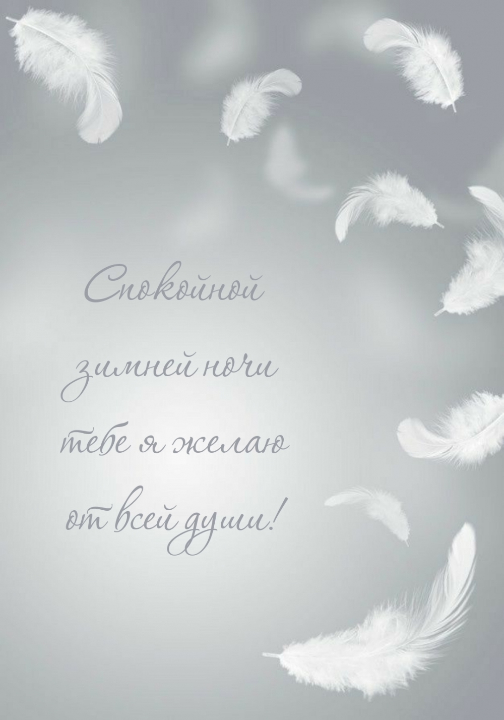Спокойной зимней ночи тебе я желаю от всей души!