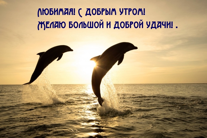 Любимая! С добрым утром! Желаю большой и доброй удачи! .