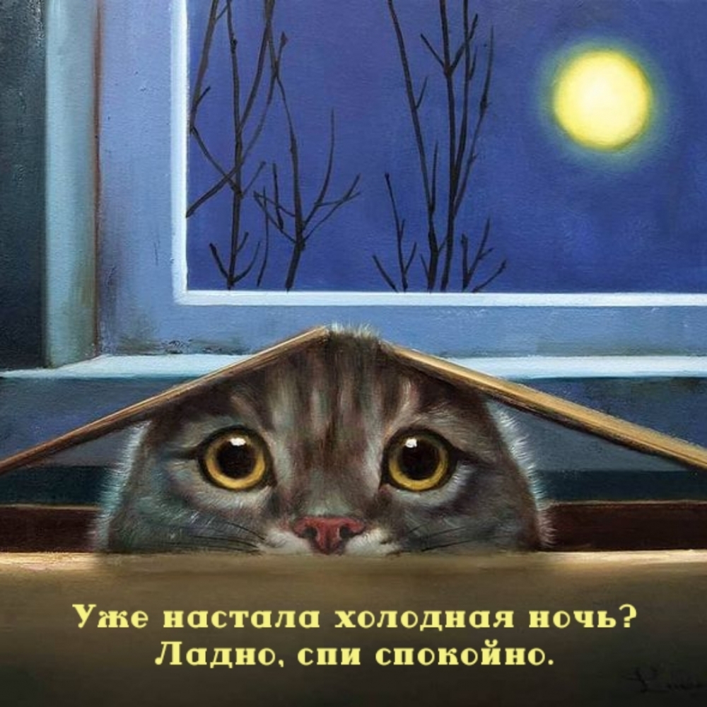 Уже настала холодная ночь? Ладно, спи спокойно.
