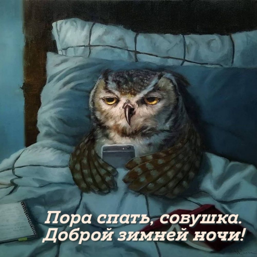Пора спать, совушка. Доброй зимней ночи!