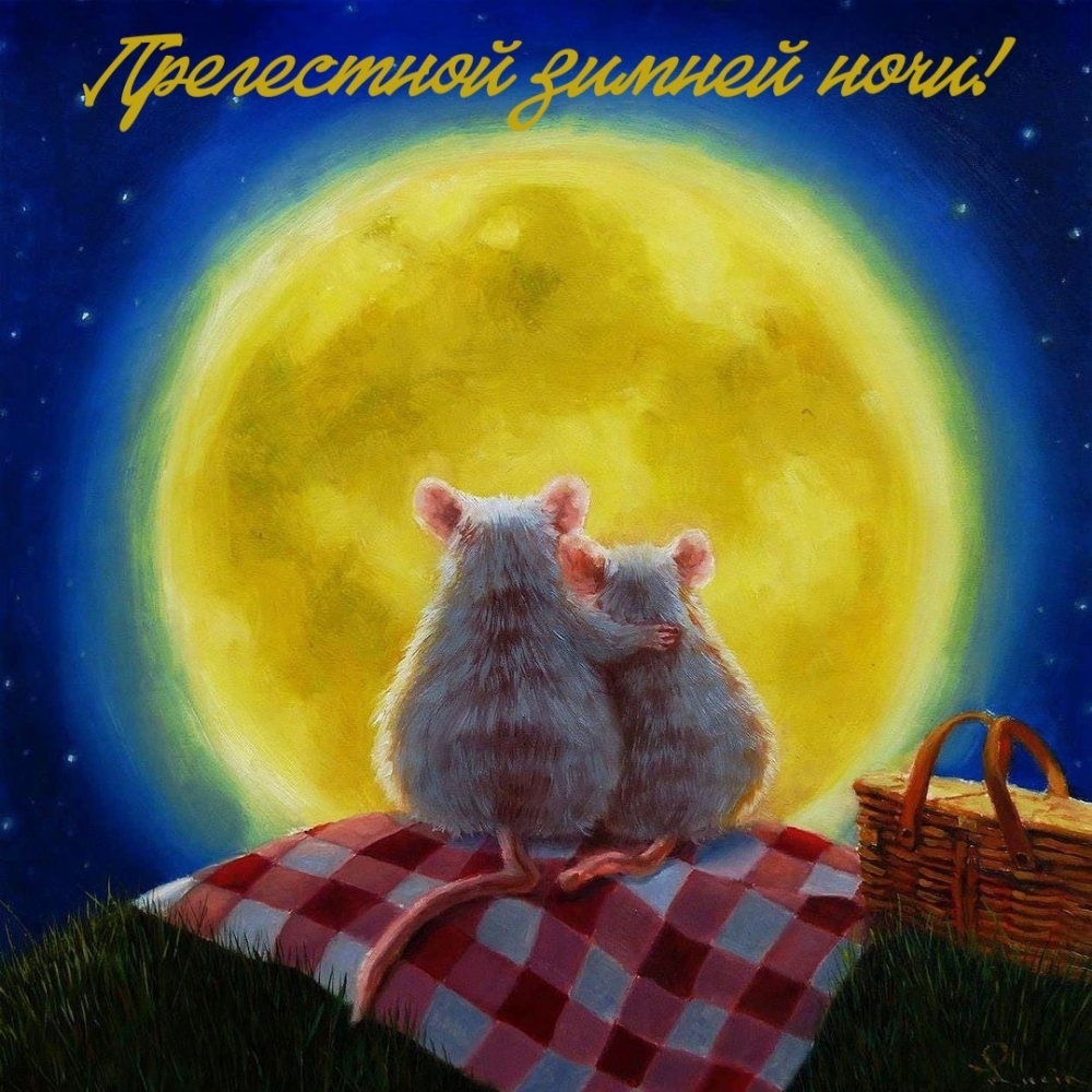 Прелестной зимней ночи!