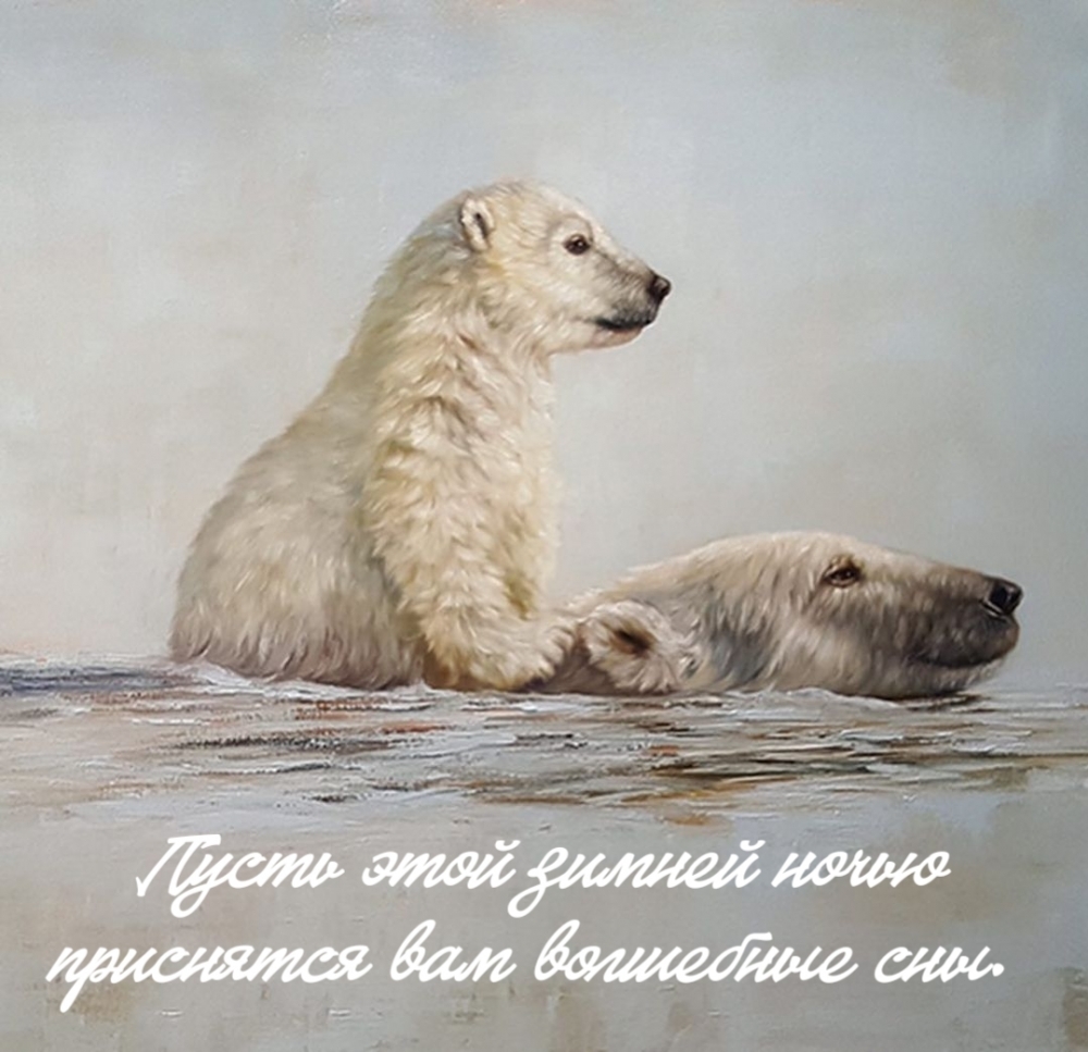 Пусть этой зимней ночью приснятся вам волшебные сны.