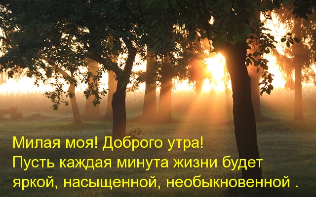 Милая моя! Доброго утра!