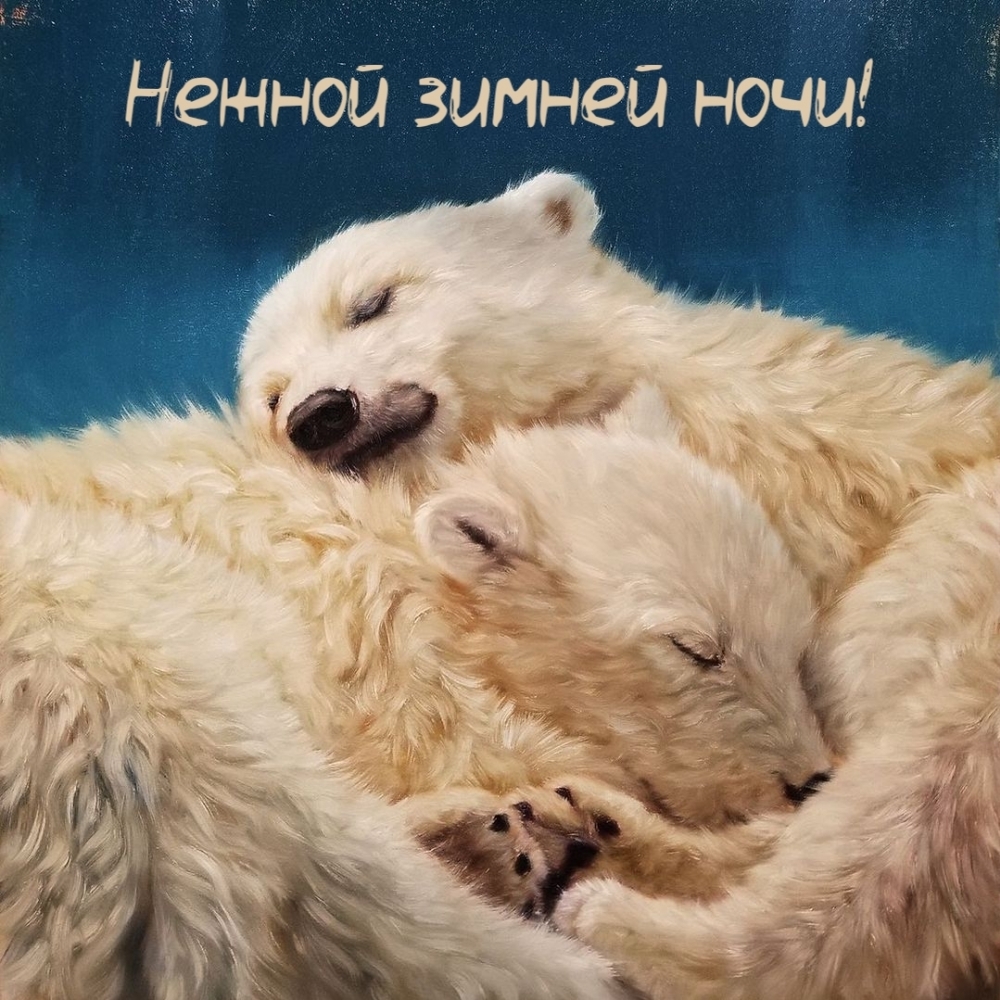 Нежной зимней ночи!