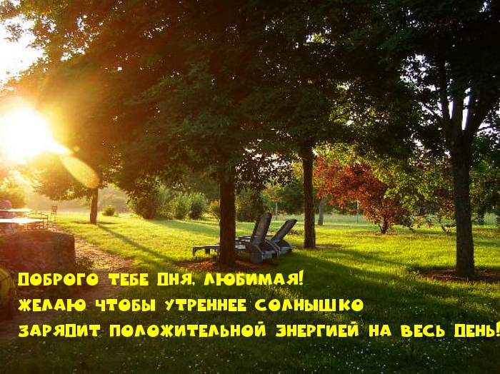 Доброго тебе дня, любимая! И утра