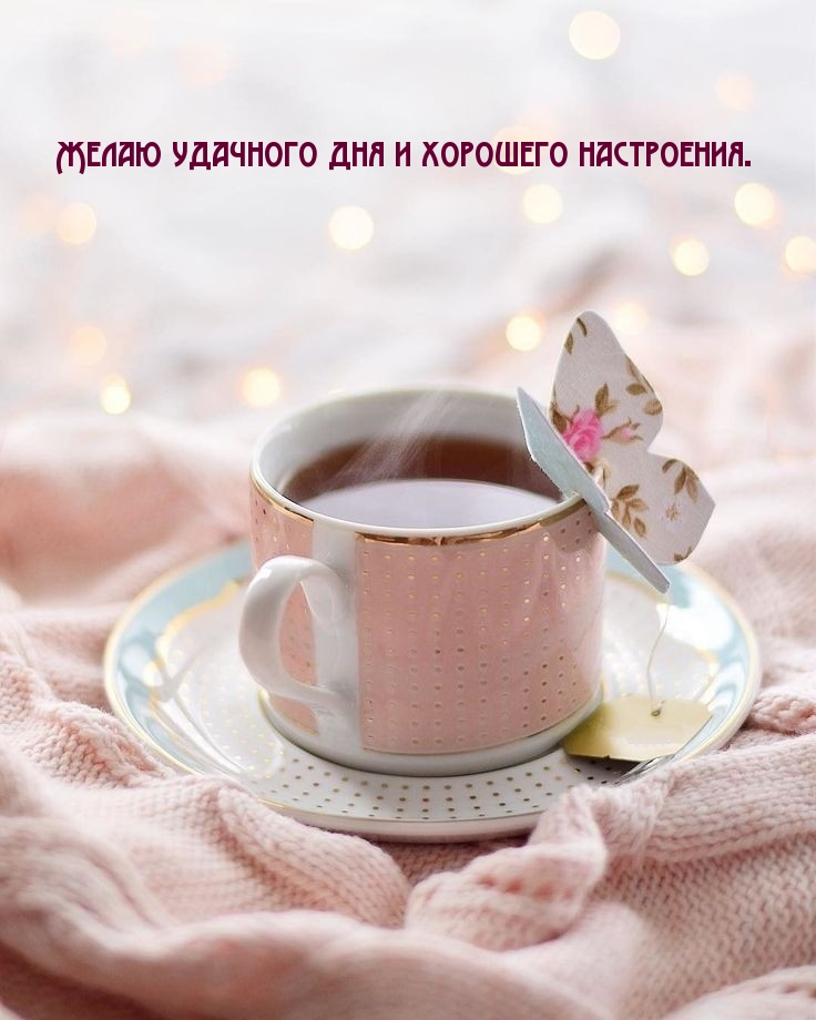 Желаю удачного дня и хорошего настроения.