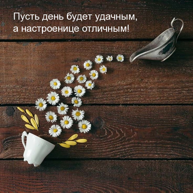 Пусть день будет удачным, а настроенице отличным!