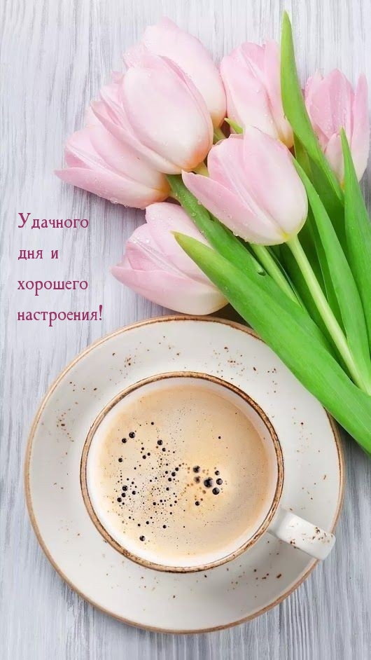 Удачного дня и хорошего настроения!