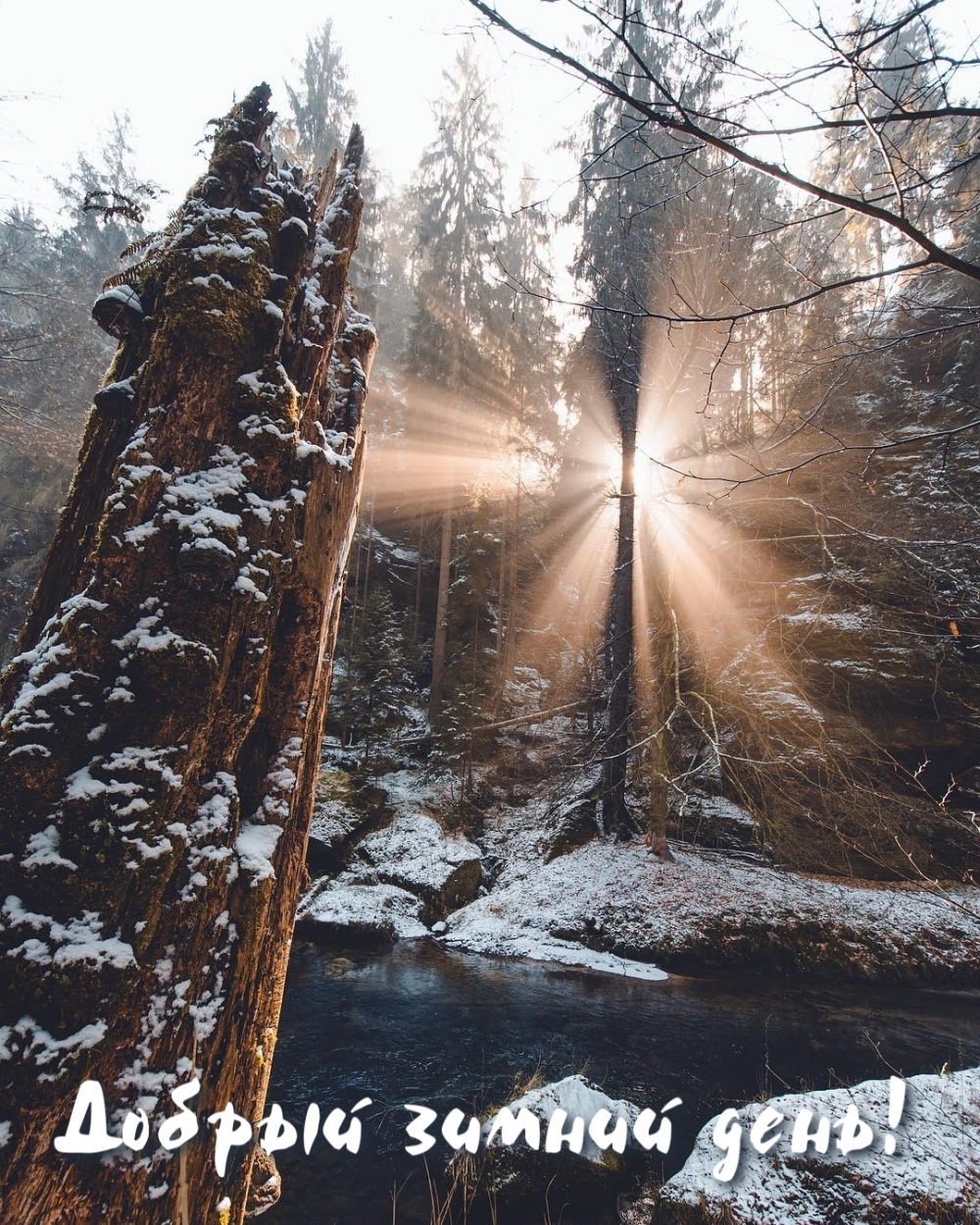 Добрый зимний день!