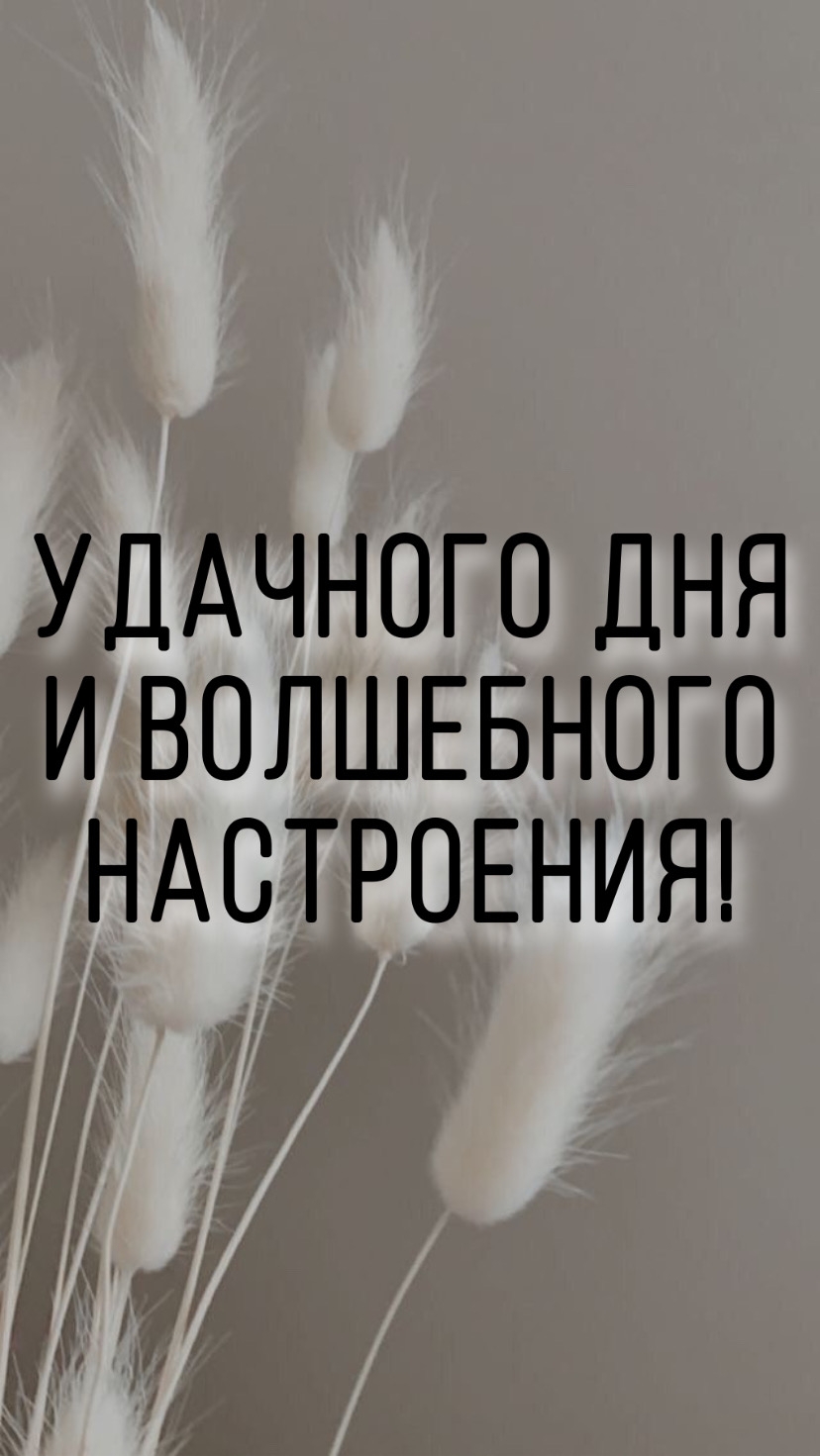 УДАЧНОГО ДНЯ И ВОЛШЕБНОГО НАСТРОЕНИЯ!